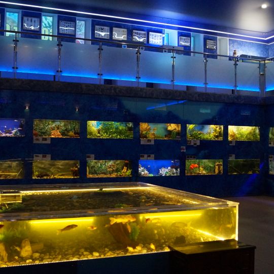 Дом-аквариум