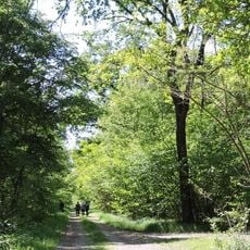 Parco naturale del Bosco delle Sorti della Partecipanza di Trino