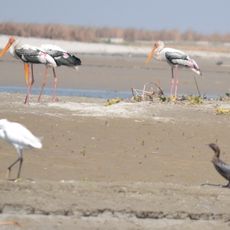 Hastinapur Sanctuary