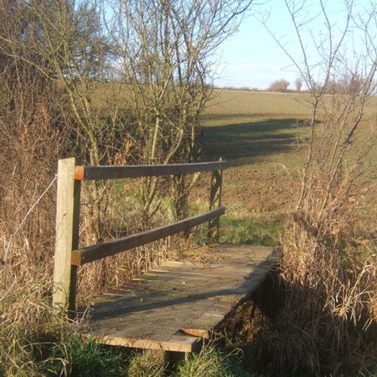 Nedging-with-Naughton