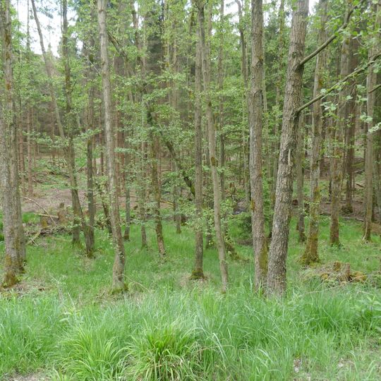 Eselsbruch/Harlebachsystem