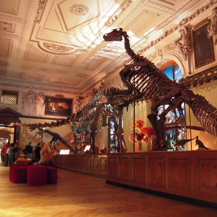 Muséum d'Histoire Naturelle