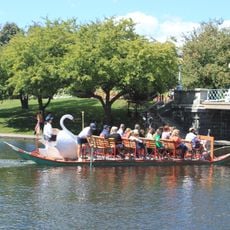 Swan Boats