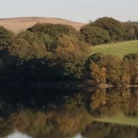 Chorley