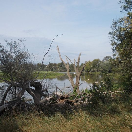 Alte Elbe Kathewitz