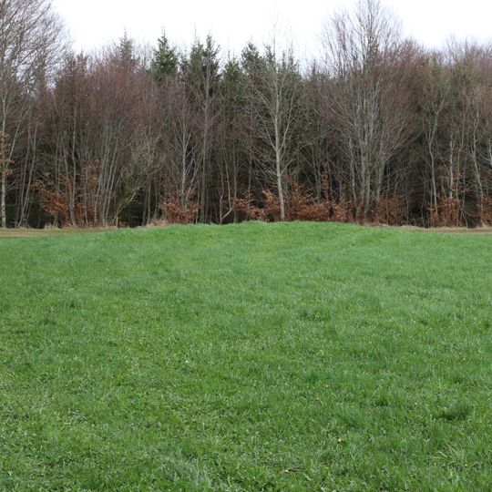 Cultural heritage D-7-7930-0045 in Waal