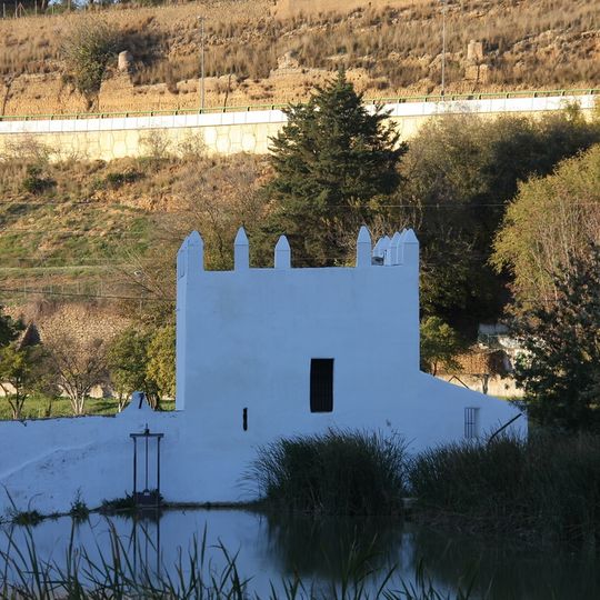 Molino de Realaje