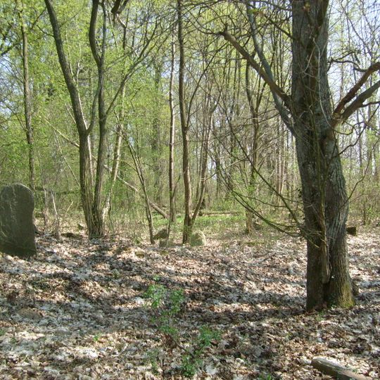 Jewish cemetery in Człopa