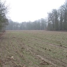 Tumuli in Wageningen