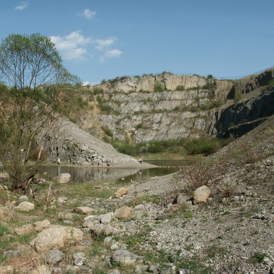 Ślichowice Reserve in Kielce
