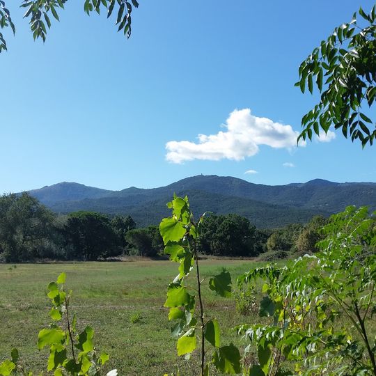 La Sardane