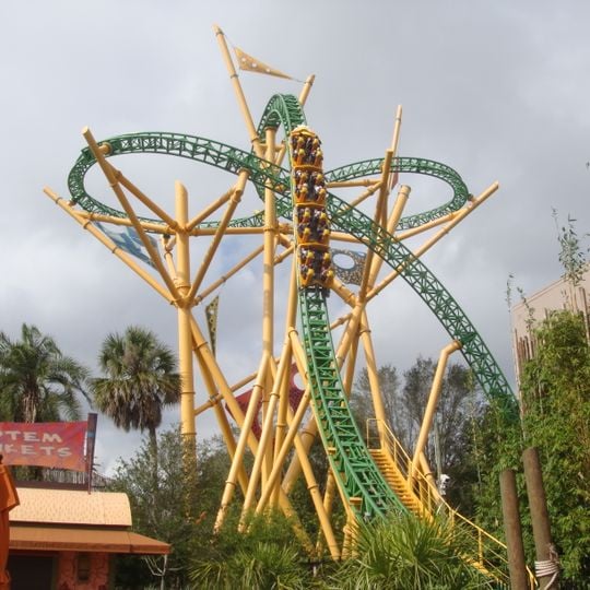 Cheetah Hunt