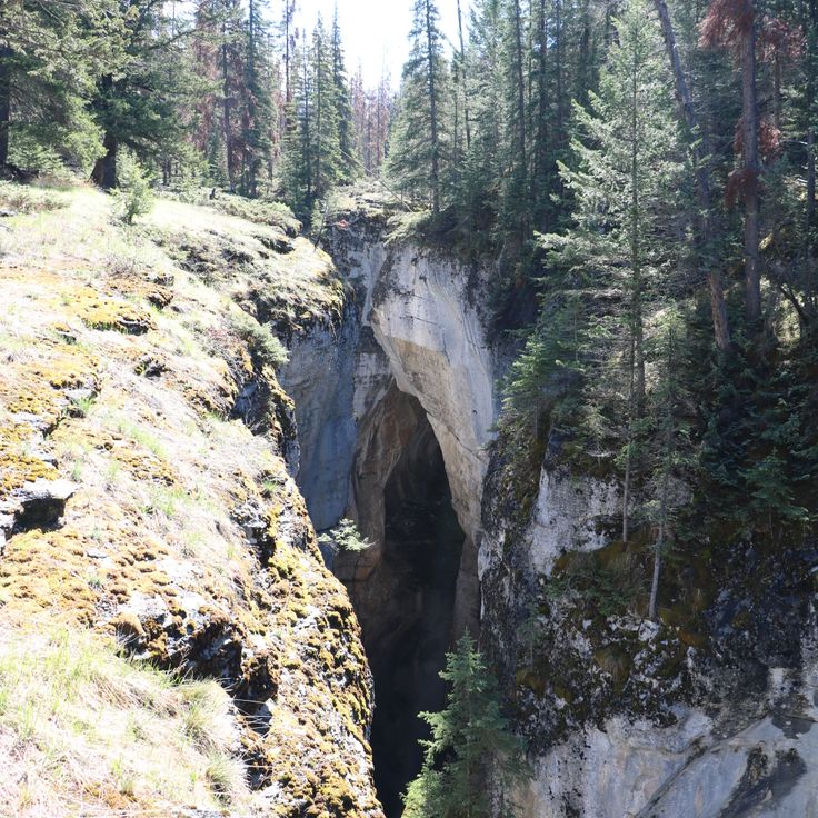 Maligne Canyon