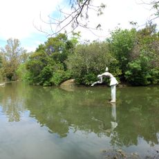 La Fée du Lac Ophélie