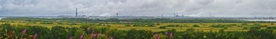 Panoramic View 1