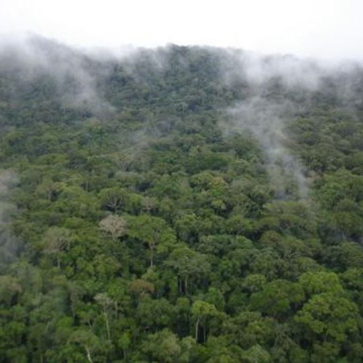 Gola-Forest-Nationalpark