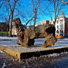Le chien du Québec