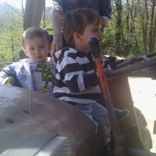 Fattoria la Boccarda