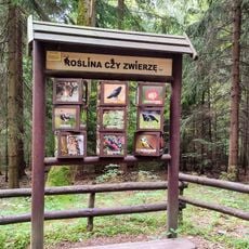 Zajęcznik