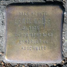 Erwin Wolff