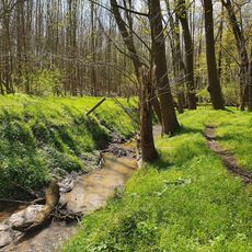 Maibachtal near Priesen