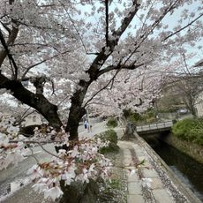 El Camino del Filósofo