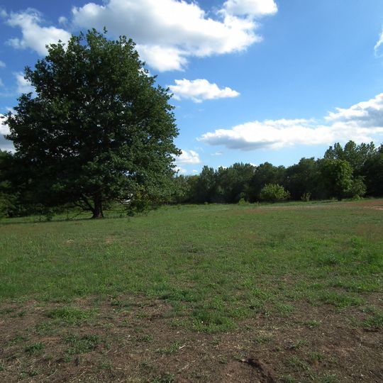 Düne von Dudenhofen