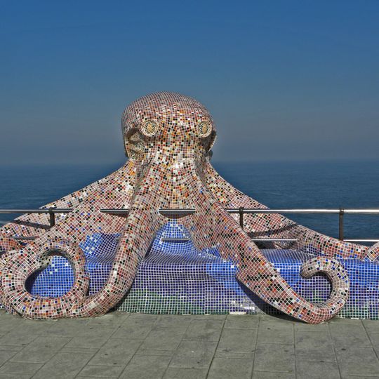 The Octopus