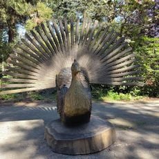 Pfau