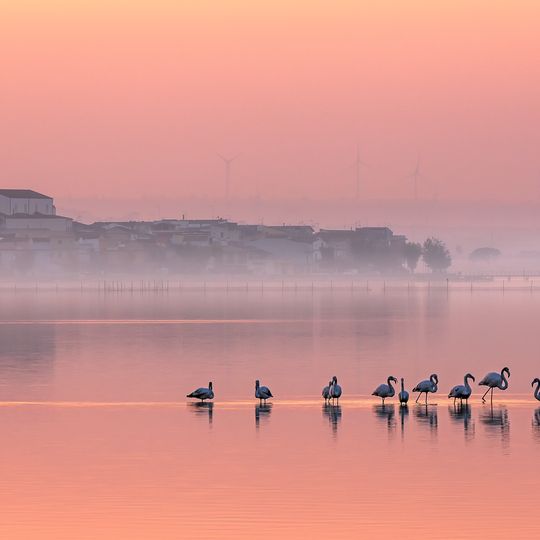 Lake Lesina