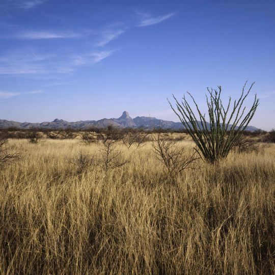 Buenos Aires National Wildlife Refuge