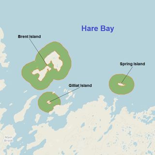 Réserve écologique Hare Bay Islands