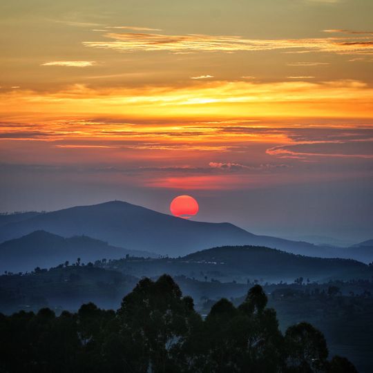 Park Narodowy Lasu Nyungwe