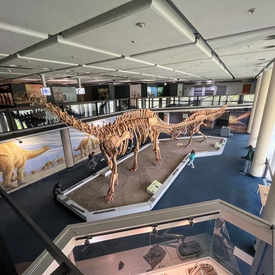 Iziko Museums
