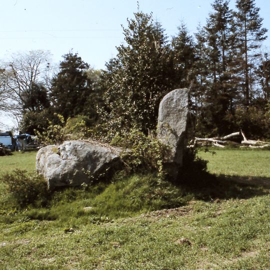 Wedge Tomb von Lurgankeel
