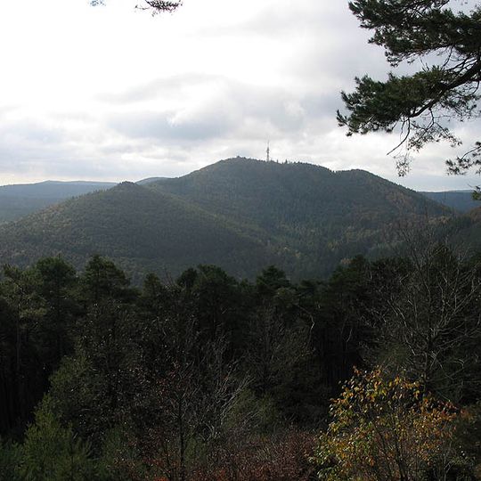 Palatinate Forest