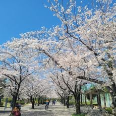 Ryōnan Park