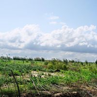 shahrestān di Juybar