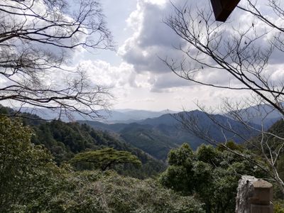 The view 0