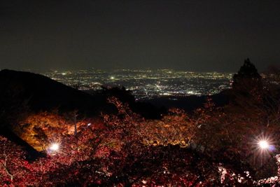 전망 1