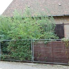 Augustinern 59 (Quedlinburg)