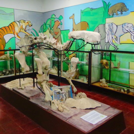 Museo Pachamama