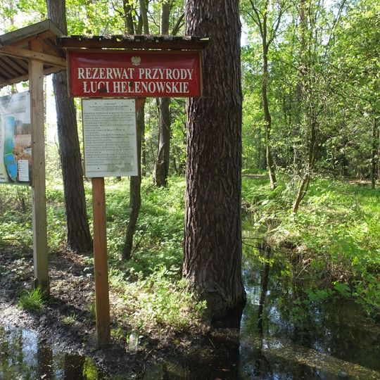 Nature reserve Ługi Helenowskie