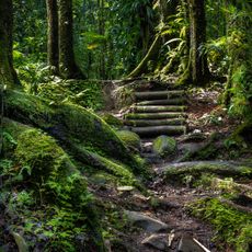 Forêt de Vatable