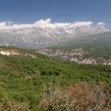 Walnut forest of Arslanbob