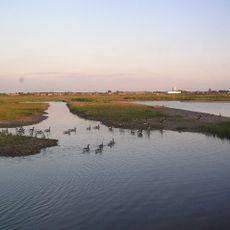Marshside RSPB reserve