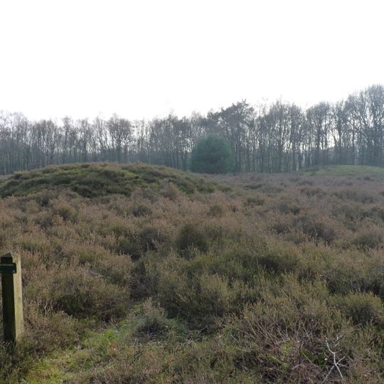 Terrein waarin twee grafheuvels en urnenveld