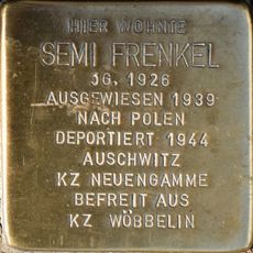 Semi Frenkel