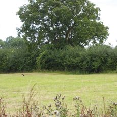 Moat Farm Meadows