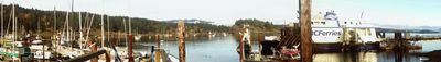 Panoramic View 1